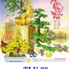 In Lịch 7 Tờ Lò Xo Bonsai