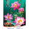 In Lịch 7 tờ nẹp thiếc Hoa Sen